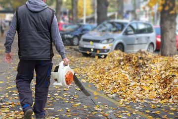 تمیز کردن بهار و پاییز